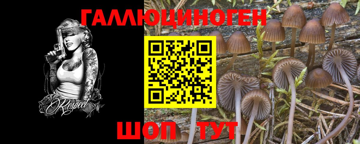 Псилоцибиновые грибы прущие грибы Саров